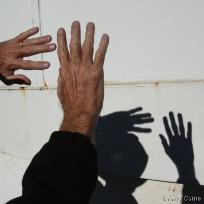 Photo of two hands, one horizontal the other vertical, both with fingers outstretched. There are shadows of the hands on an adjacent wall. The shadows of the fingers of the vertical hand are sharp and the shadows of the fingers of the horizontal hand are blurry.
