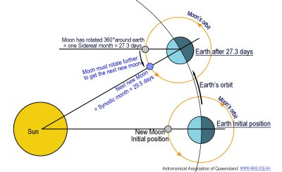 The diagram shows Earth in orbit around the Sun and the Moon in orbit around Earth. The initial position is with the Sun, Moon and Earth in alignment at new moon. A second drawing of the Moon and Earth shows their positions after 27.3 days. The Moon has completed a 360 degree orbit of Earth which is one sidereal month but as Earth has moved round in its orbit the Moon must revolve further for the Moon to line up between the Sun and Earth for the next new moon. This is a total of 29.5 days which is one synodic month.