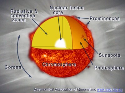 The diagram shows the Sun opened up to reveal its inner structure as a series of layers like an onion.  Innermost is the white hot nuclear fusion core surrounded by the radiative and convection zones, then the Suns surface, the photosphere, with sunspots, then the red chromosphere with prominences rising above, then the outer atmosphere, the corona surrounding the Sun.
