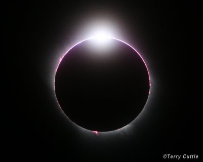 Combination of 4 photos showing the progression at the start of totality. The first image is 4 seconds before the start of totality and shows around the edge of the Sun, Baily’s Beads as points of light, some red chromosphere and a prominence leaping above the Sun’s surface. The second photo is at the start of totality and shows Baily’s Beads fading out, the chromosphere and two prominences. The third photo is two seconds after the start of totality and shows just the chromosphere and the prominences. The fourth photo is at 23 seconds after the start of totality and shows the prominences being covered up by the Moon.