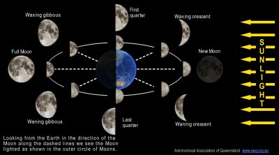n the diagram, sunlight is shown coming in from the right illuminating half of Earth and half of the Moon. The Moon is shown in eight positions in its orbit around Earth and for each position the view of the Moon as seen from Earth is shown in an outer ring of Moon phases.