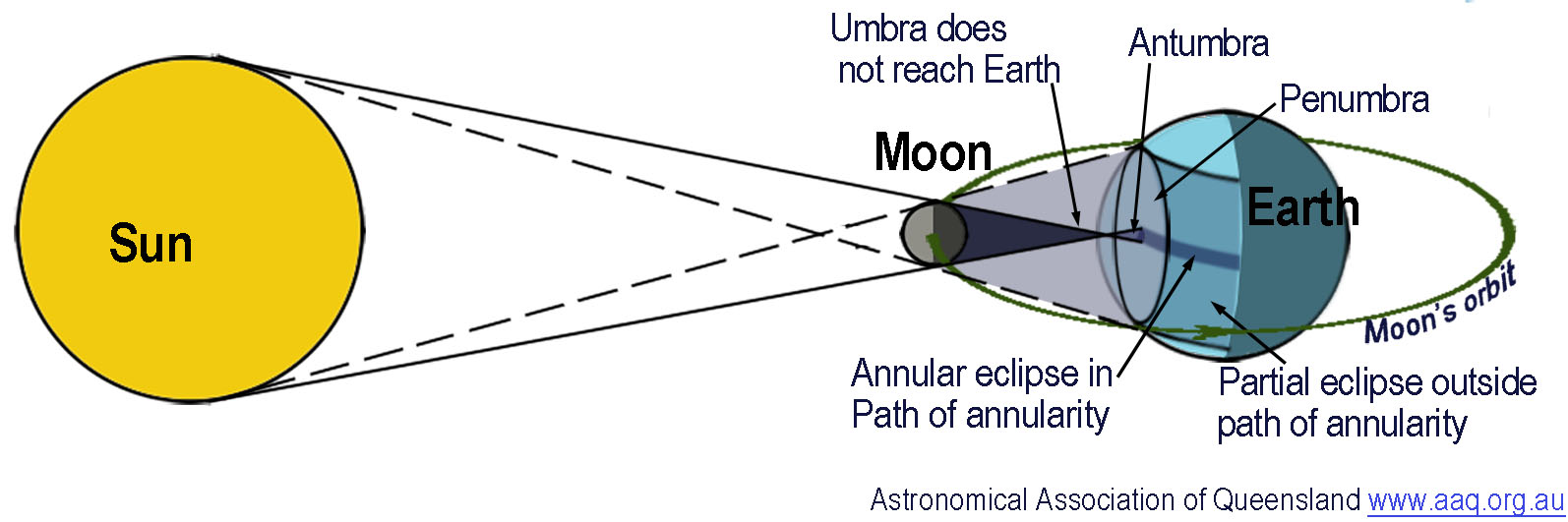 The diagram shows the Moon between the Sun and Earth with the Moon casting a shadow towards Earth. The umbra, which is the central dark part of the Moon’s shadow is shown as a dark cone falling short of reaching Earth. It continues towards Earth expanding as the cone shaped antumbra indicating where the annular solar eclipse occurs. A dark path is shown around Earth labelled as the path of annularity where the annular eclipse moves around Earth as the Moon orbits Earth. The Moon’s penumbra which is the Moon’s lighter outer shadow is shown on Earth surrounding the antumbra and this is shown moving around Earth indicating where a partial solar eclipse occurs on either side of the path of annularity.